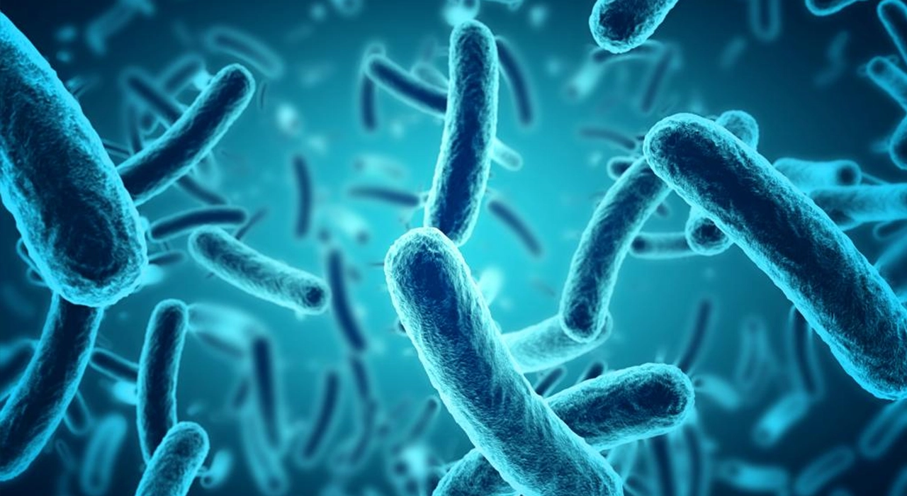 Blue infographic illustrating bacteria as root cause of Alzheimer's, stroke, and diabetes in new study