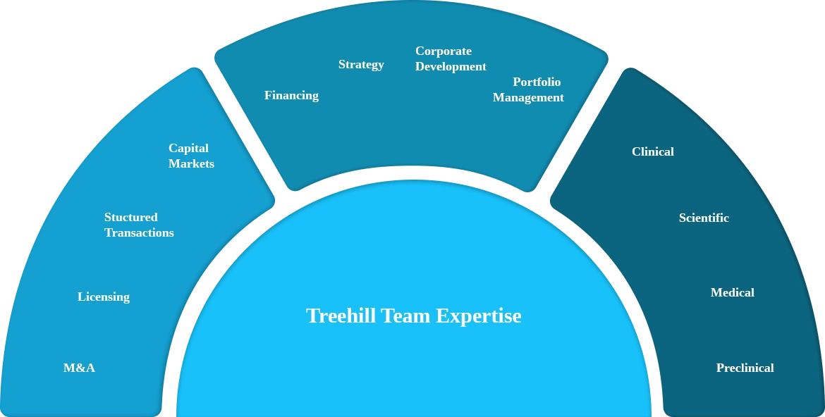 Treehill team expertise infographic
